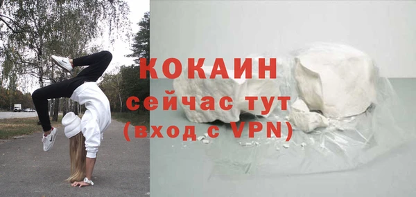 крисы Алзамай