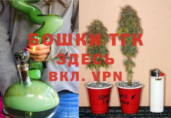 крисы Алзамай